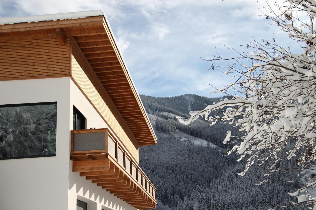 Appartements Moser Viehhofen Exterior foto